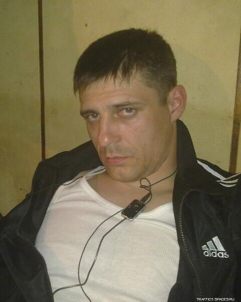 ���� 9561988 ������� ��������, 44 ����, ���� ���������� � ����������