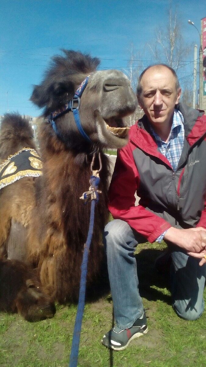 ���������� ������, ���� ������� �������, 54 ����, ������������ 