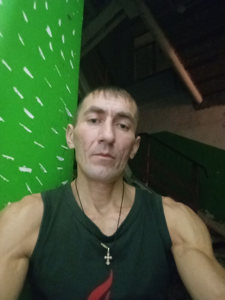  40868588  , 43 ,    