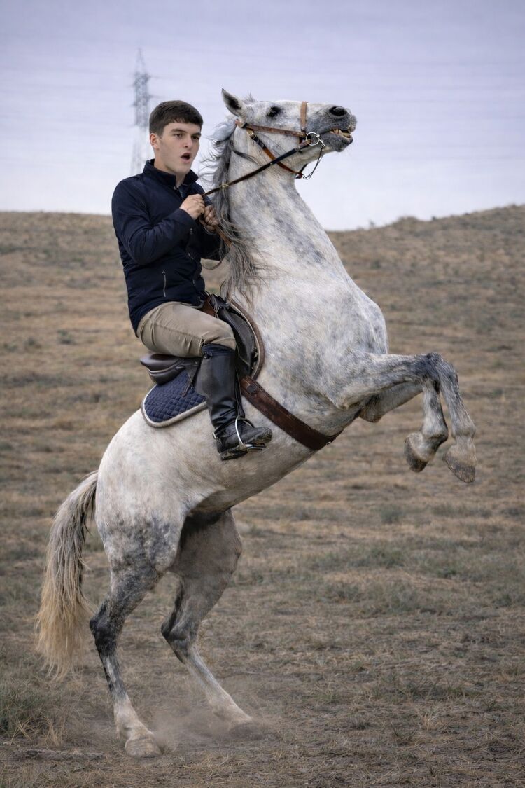 ���� 55620608 ����� ����, 24 ����, ���� ���������� � �������