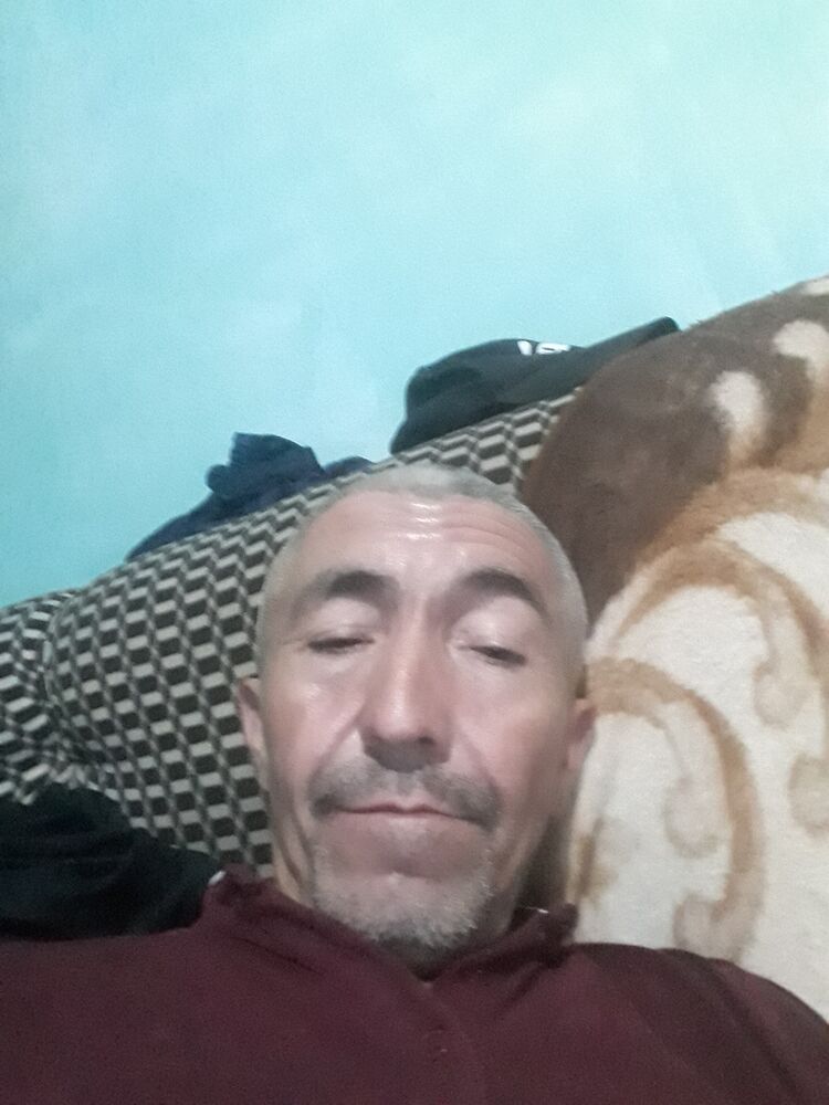  43779348  , 49 ,    