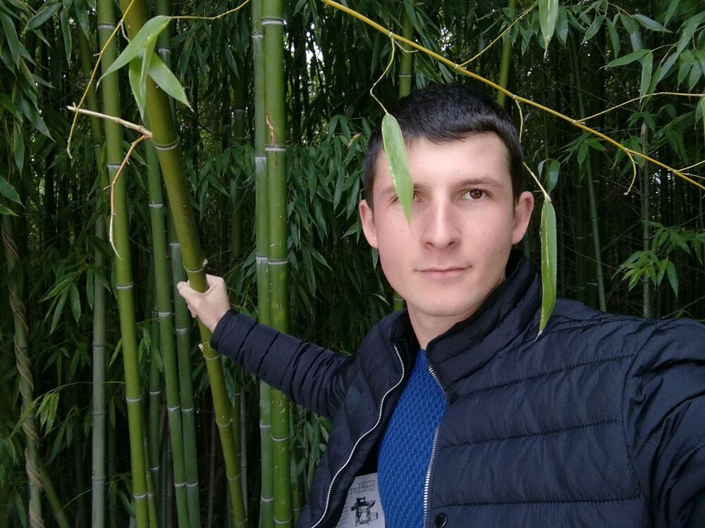 ���������� �������, ���� ������� ������, 36 ���, ������������ ��� ������, ����� � ���������