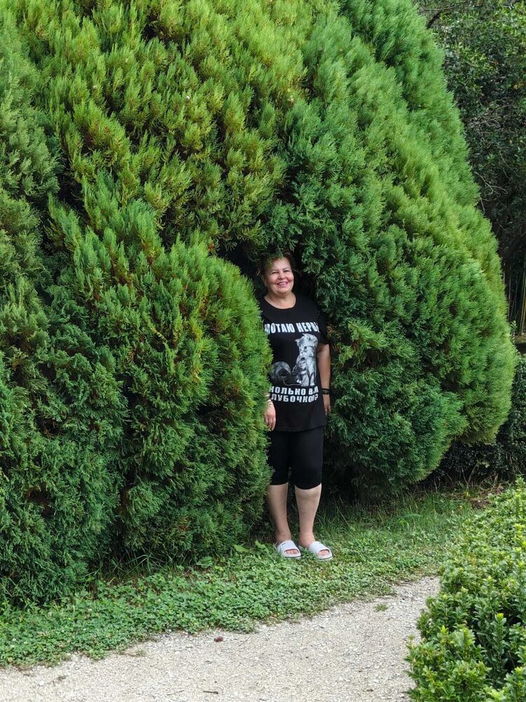 ���������� �����������, ���� ������� �������, 50 ���, ������������ ��� c�������� ���������