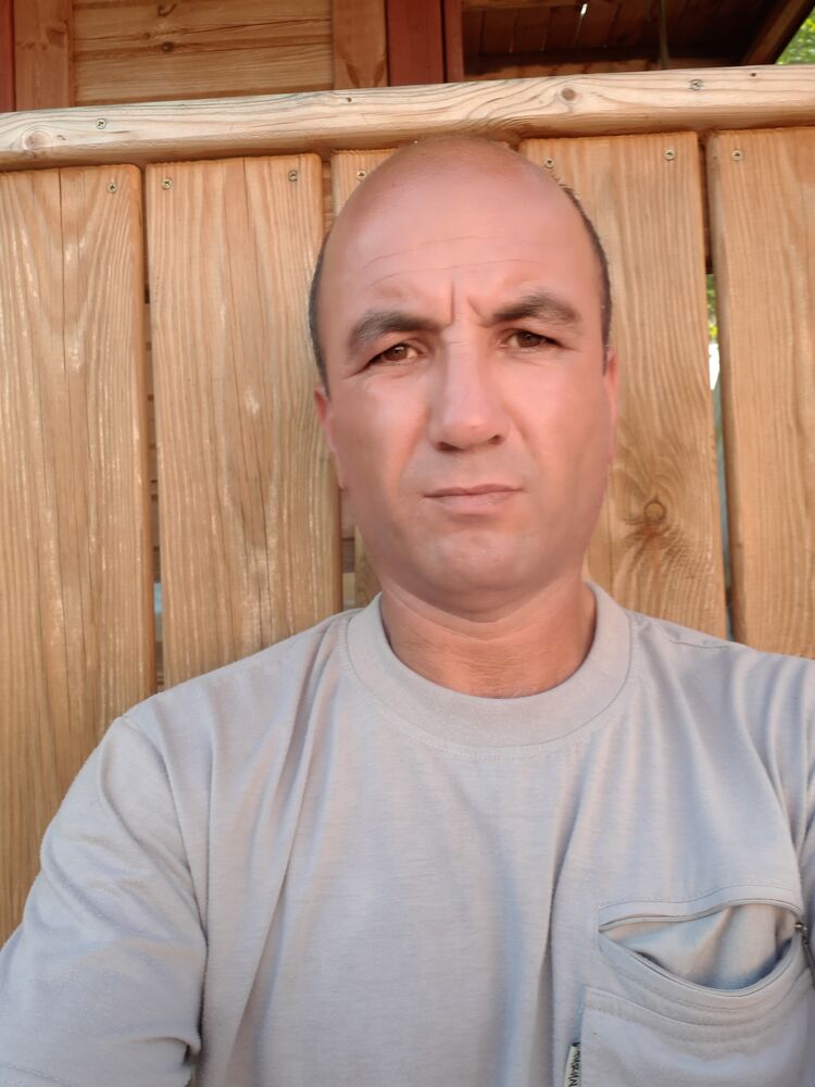  46949518  , 41 ,    