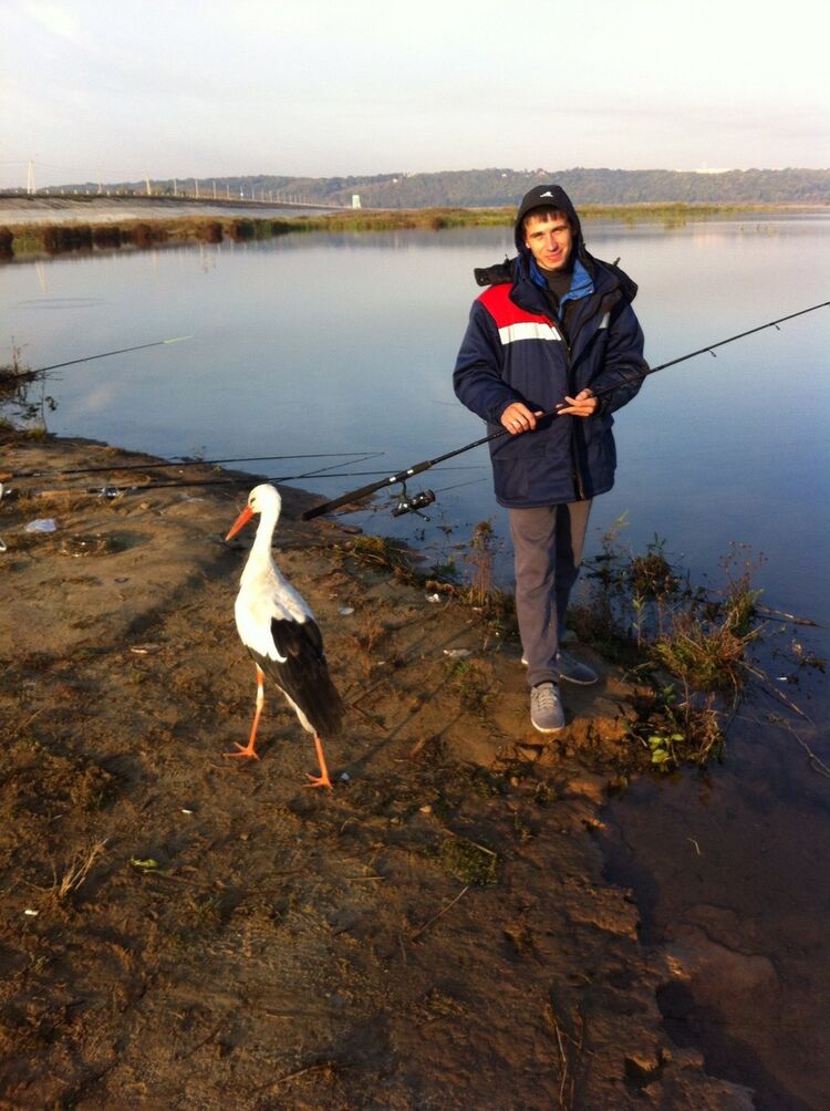 ���� 6845808 ������� �����, 36 ���, ���� ���������� � ������