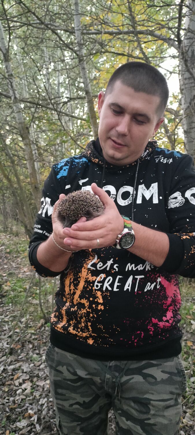 ���������� ������������, ���� ������� ����, 33 ����, ������������ ��� ������, ����� � ���������, c�������� ���������, ���������