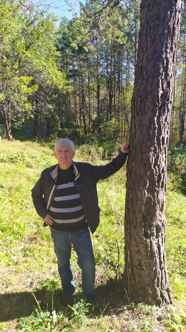 ���� 54397728 ������� ��������, 67 ���, ���� ���������� � �������������