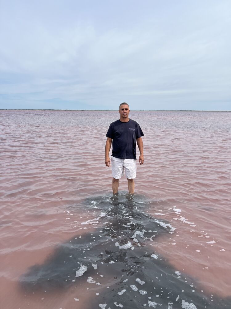 ���� 55870478 ������� �����, 43 ����, ���� ���������� � ��������