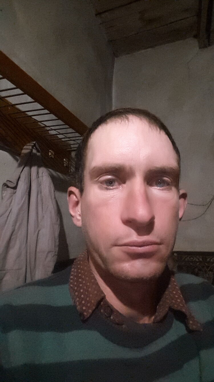  31295318  , 36 ,    