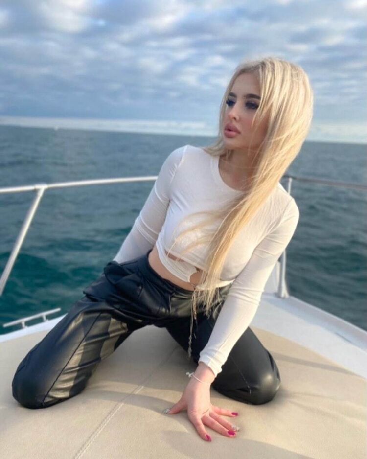  37701538  , 22 ,    -