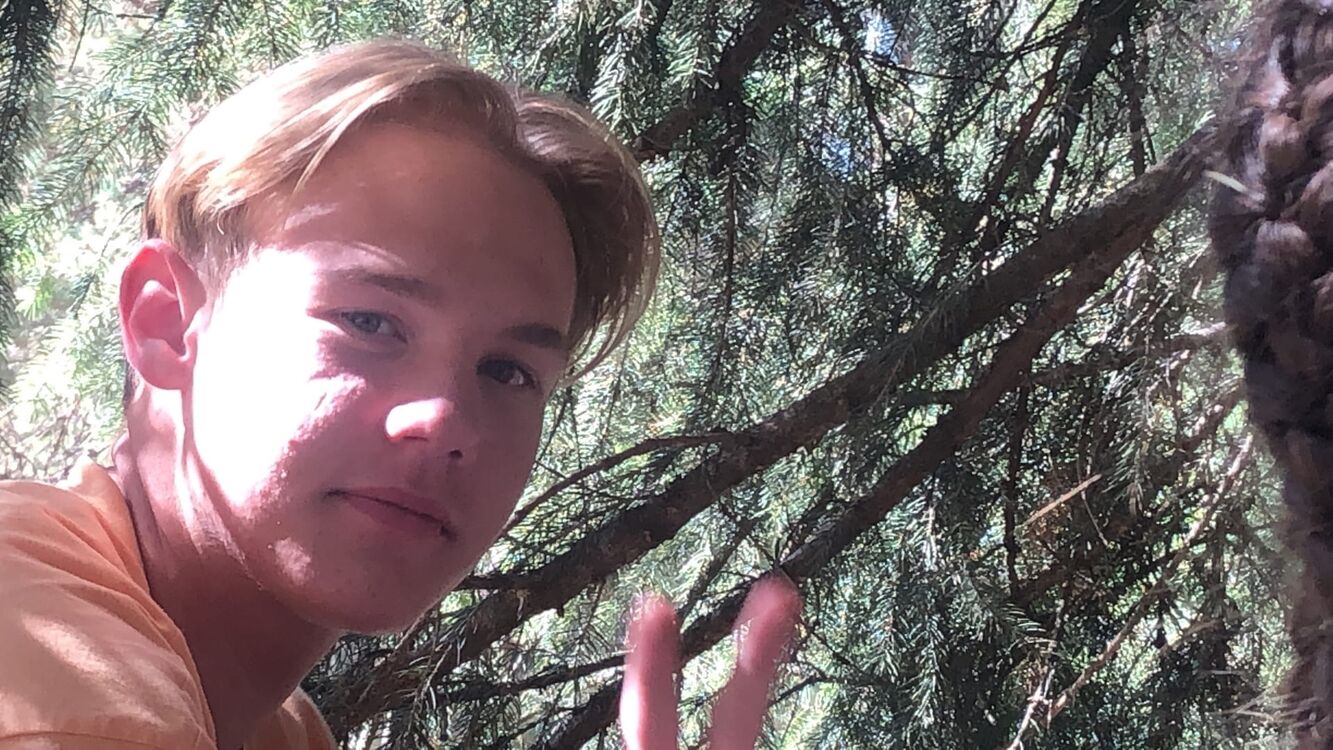 ���� 24416288 ����� �������, 22 ����, ���� ���������� � ������