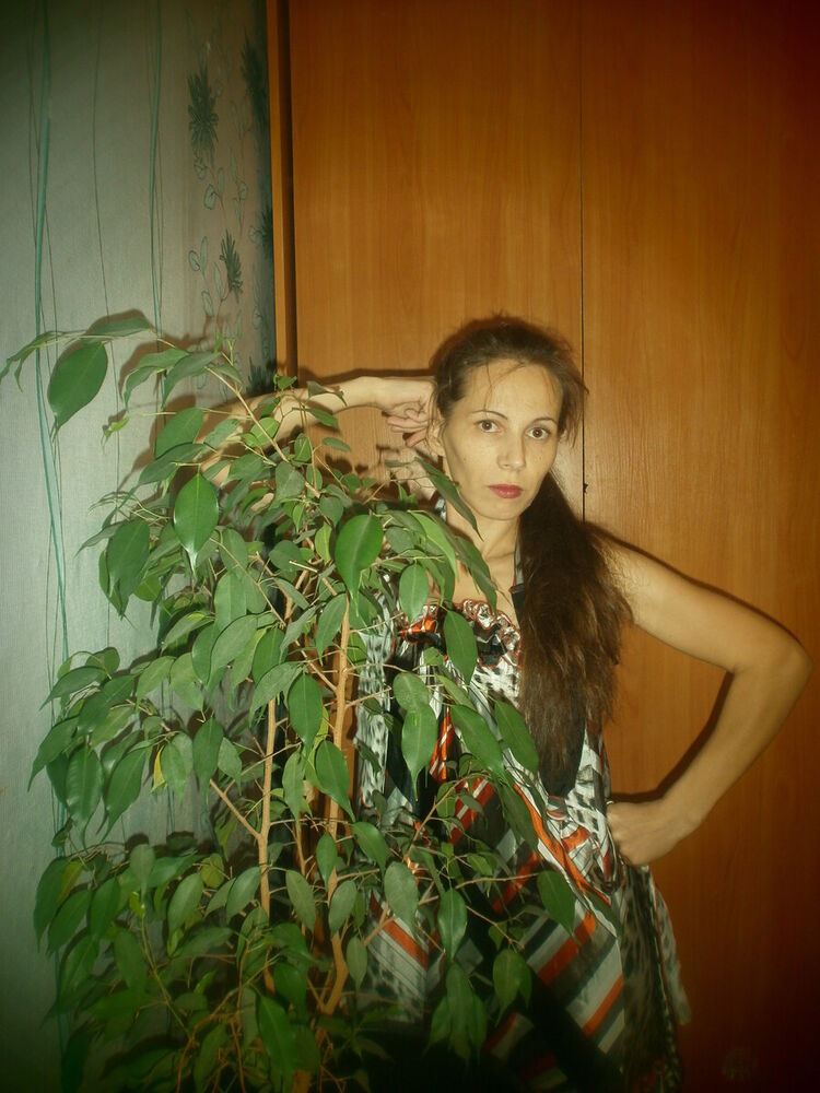 ���������� �����, ���� ������� ������, 41 ���, ������������ ��� ������, ����� � ���������, c�������� ���������