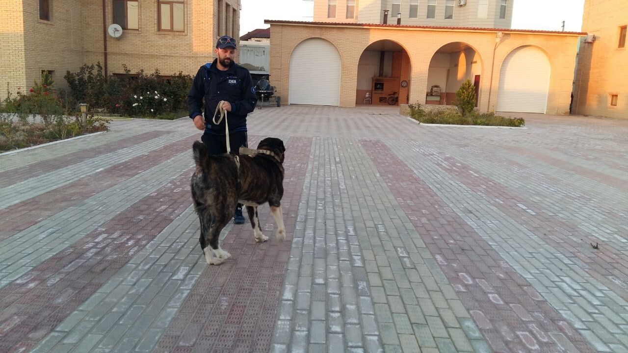  39412808  VASSILIY, 51 ,    