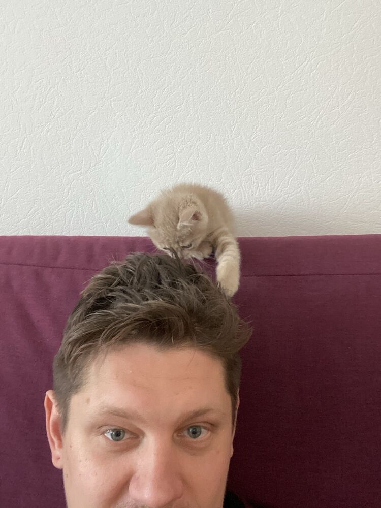  31054698  Nikita, 35 ,    -