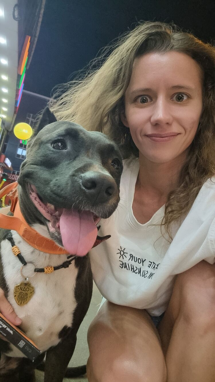 ���������� ���������, ���� ������� ��������, 28 ���, ������������ ��� ������, ����� � ���������