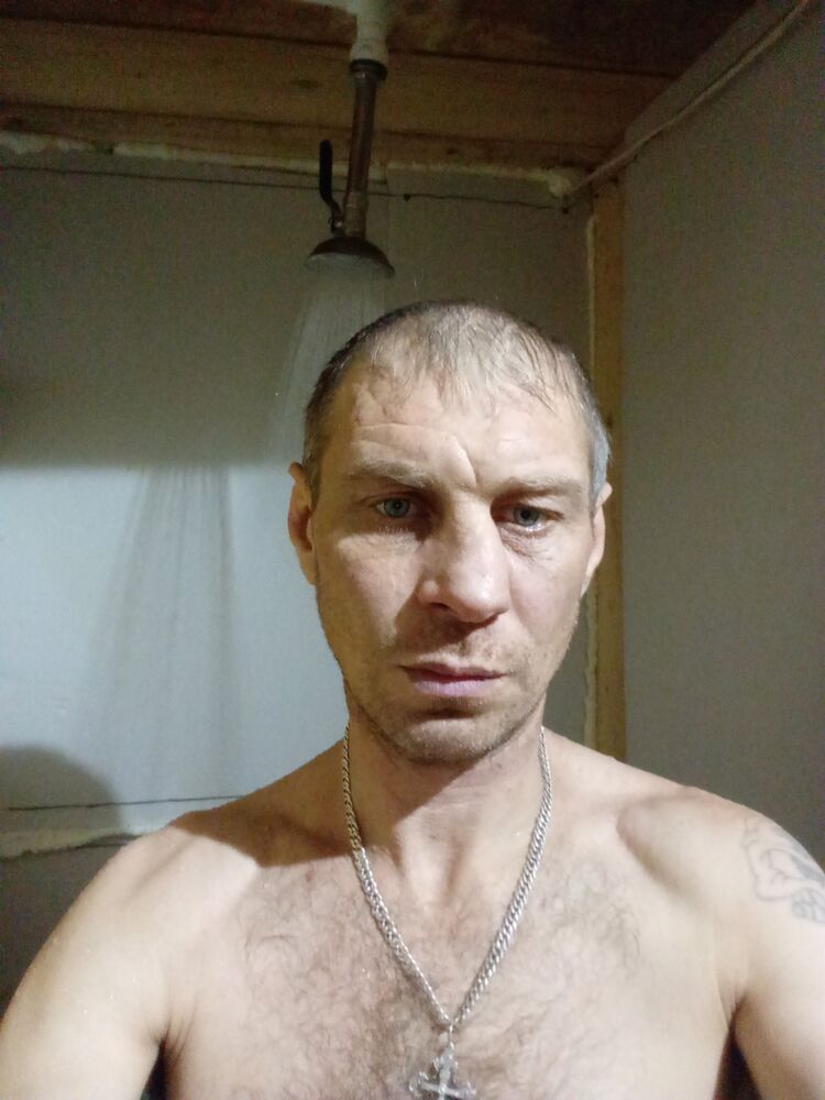  48202428  , 41 ,    