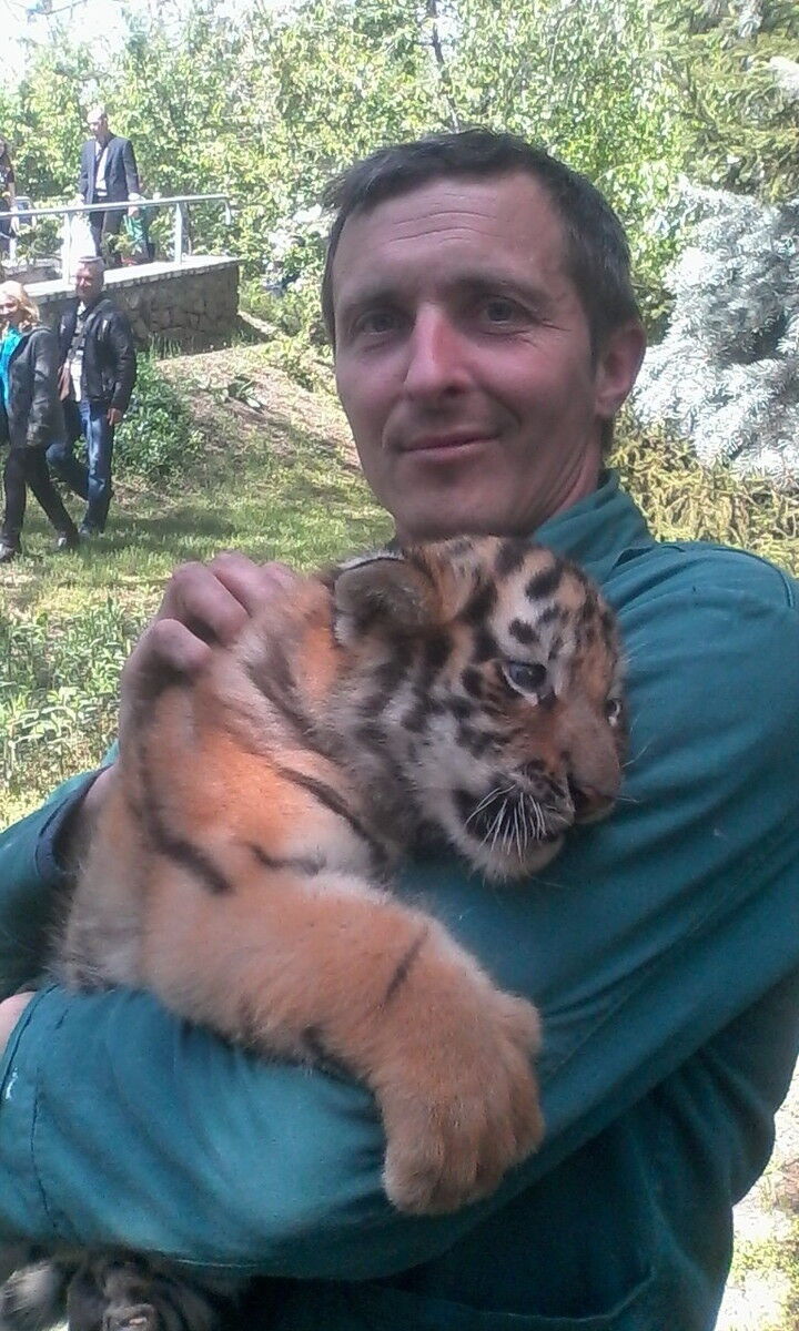 ���� 9357788 ������� ����, 45 ���, ���� ���������� � ���������