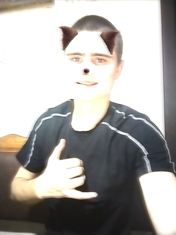  51811728  , 19 ,    --