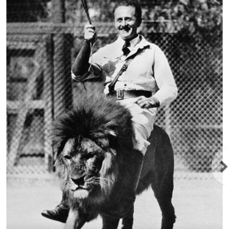 ���������� ������, ���� ������� ����, 39 ���, ������������ ��� ������, ����� � ���������, c�������� ���������, ���������