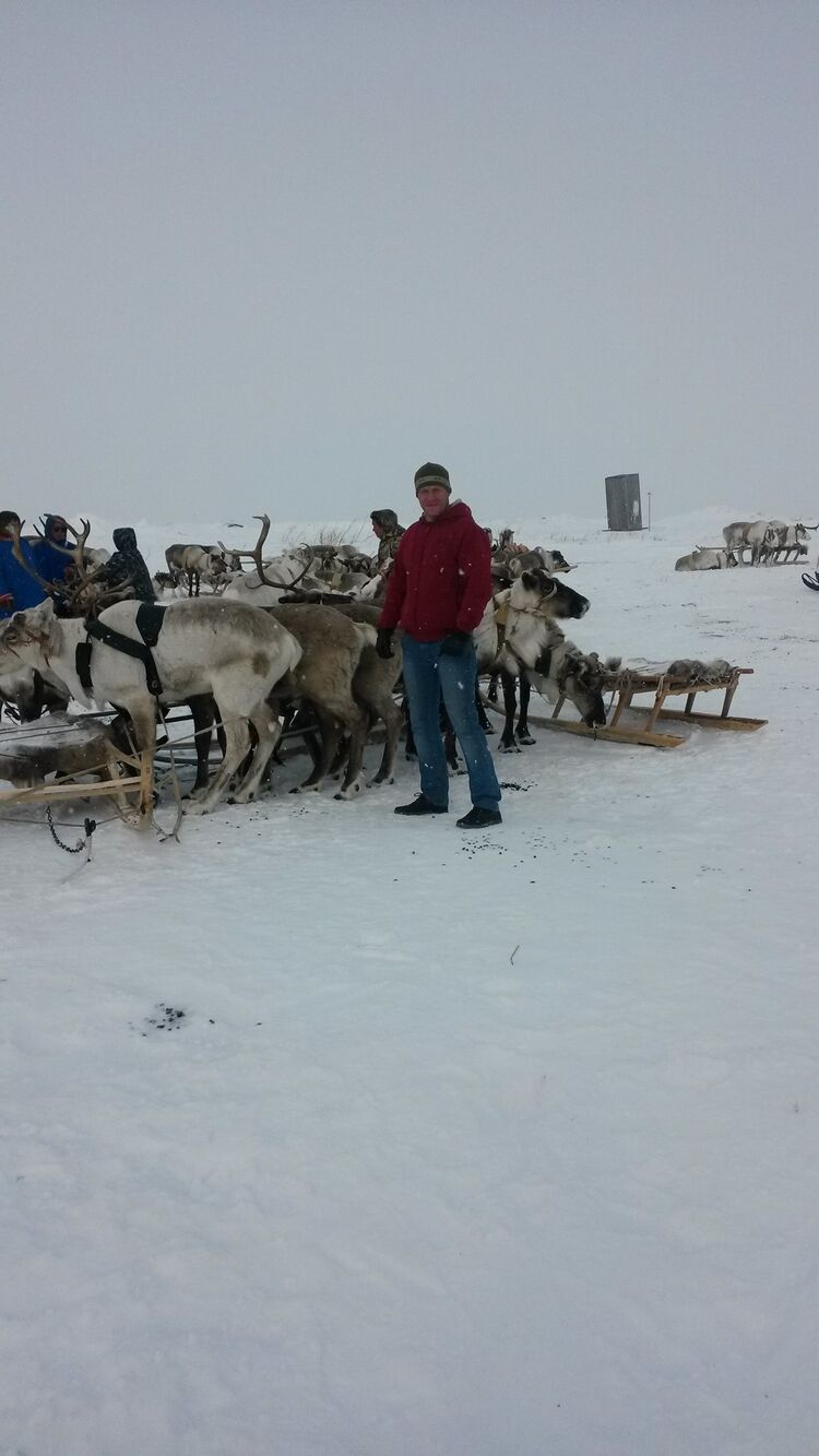 ���������� �����-���������, ���� ������� �������, 51 ���, ������������ ��� ������, ����� � ���������