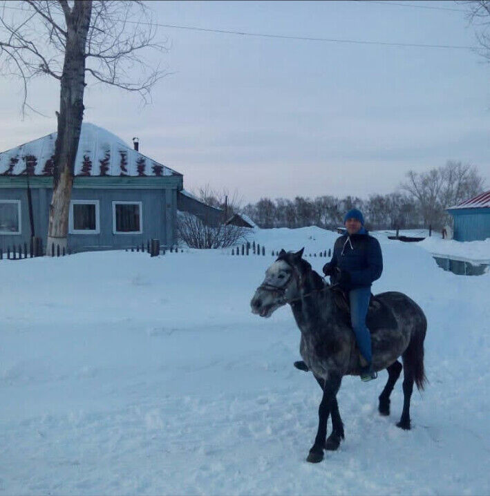 ���������� ���������, ���� ������� ����, 44 ����, ������������ ��� c�������� ���������