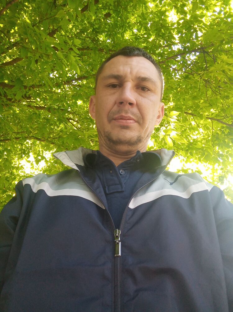  42803238  , 40 ,    