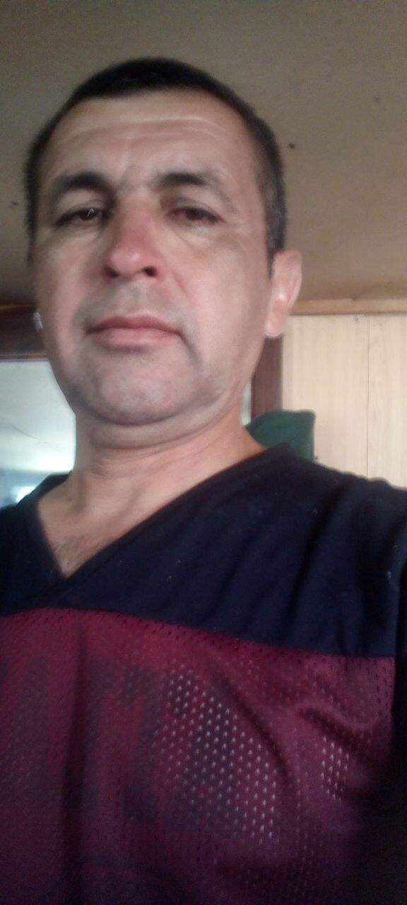  45296478  , 51 ,    