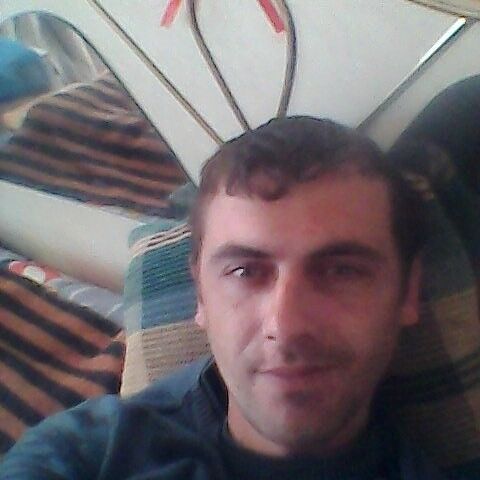  15397368  , 37 ,    