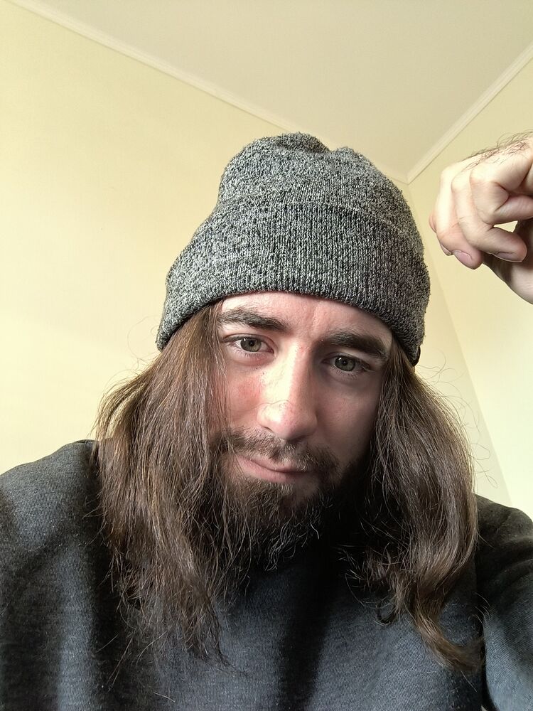  31373168  , 31 ,    