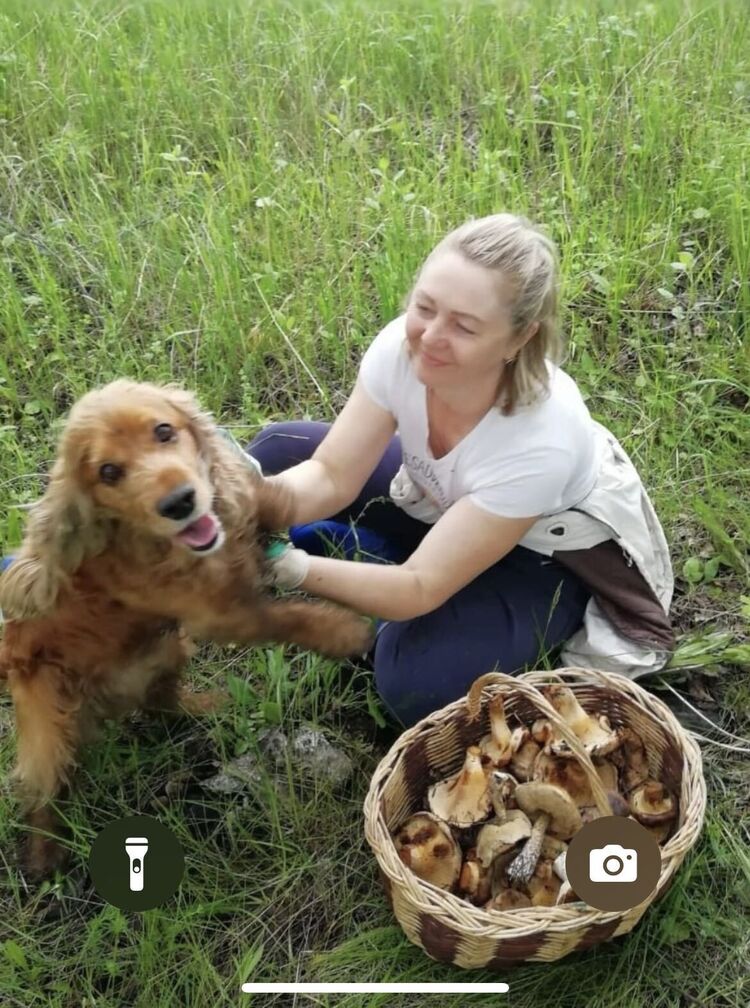 ���������� ������, ���� ������� ����, 49 ���, ������������ ��� c�������� ���������