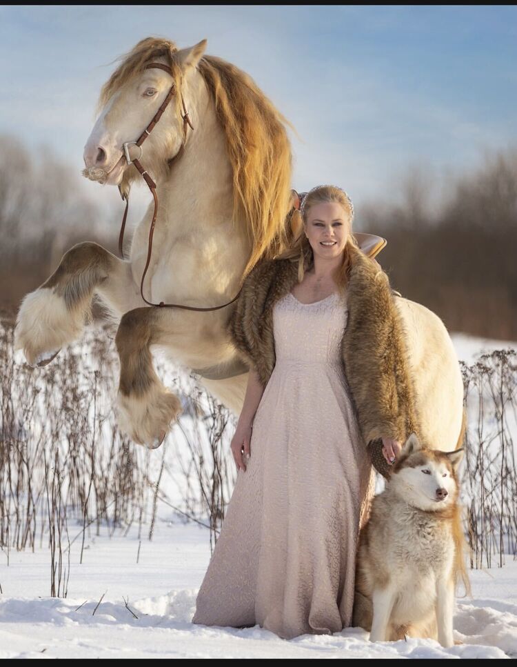 ���������� �����-���������, ���� ������� ����, 43 ����, ������������ ��� ����� � ���������, c�������� ���������