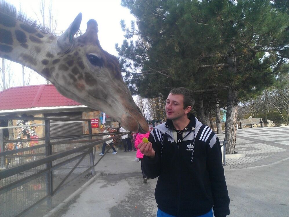 ���� 18252278 ������� ������, 39 ���, ���� ���������� � �������