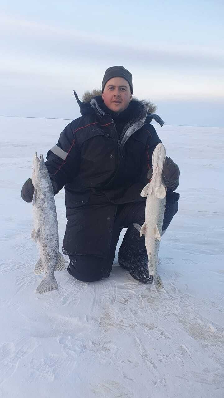 ���� 37224768 ������� �������, 35 ���, ���� ���������� � ����������