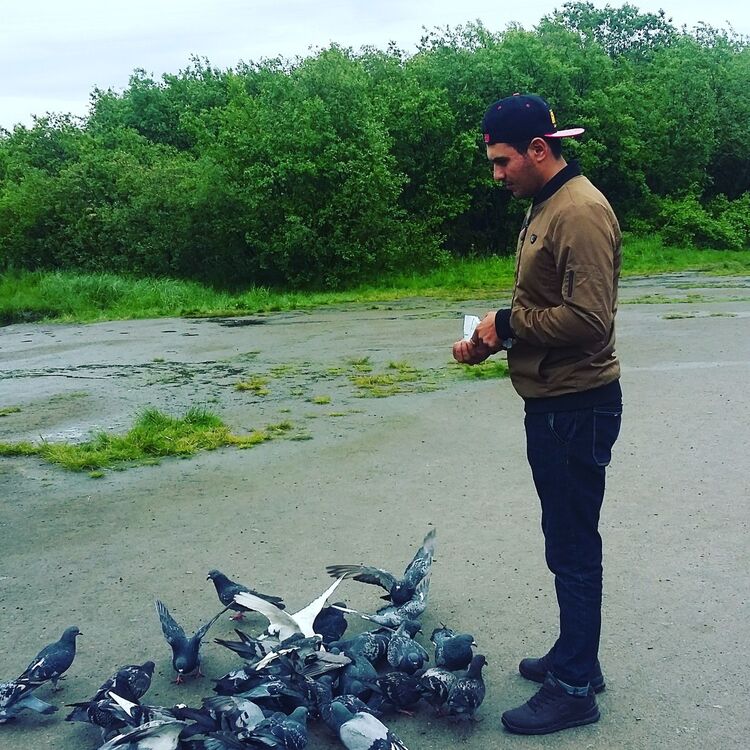 ���� 17159808 ������� ����, 29 ���, ���� ���������� � ���������