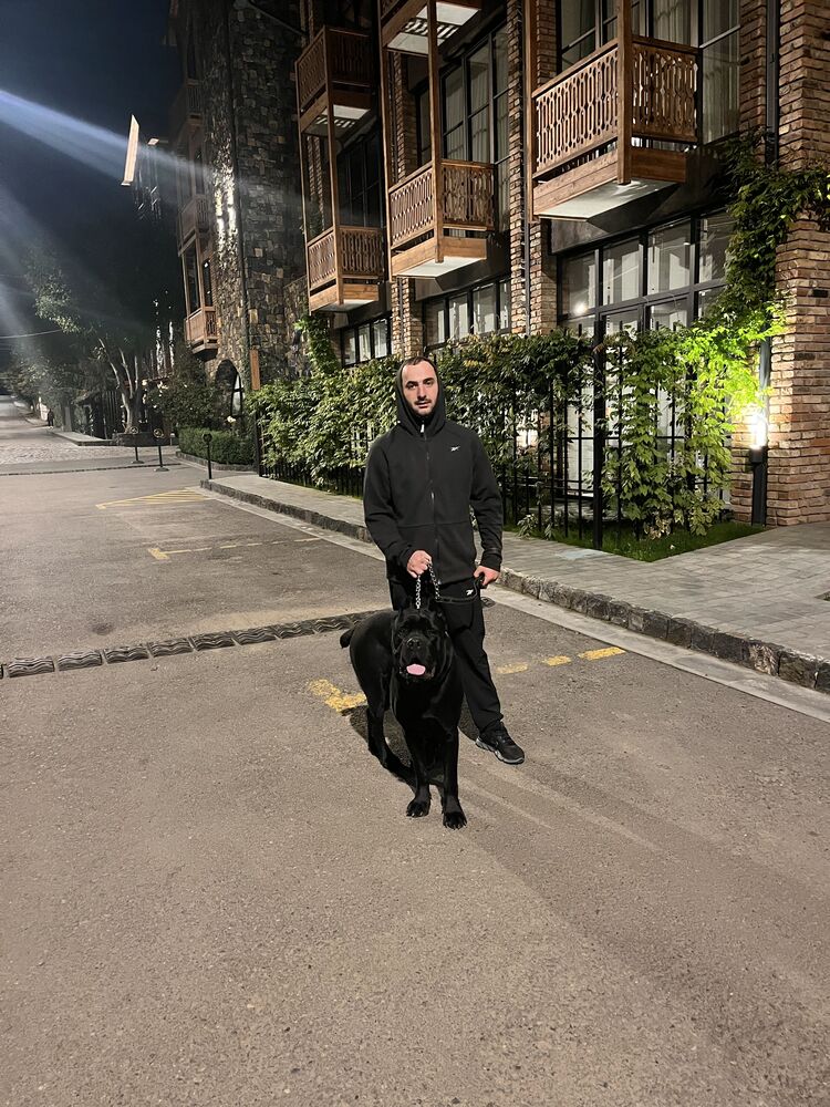 ���� 41991918 ������� �����, 30 ���, ���� ���������� � �������