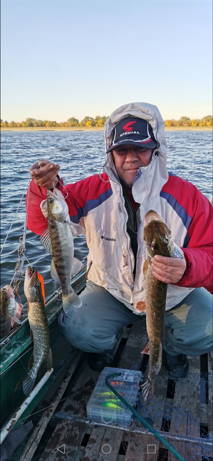 ���������� ������, ���� ������� �����, 52 ����, ������������ ��� ������, ����� � ���������