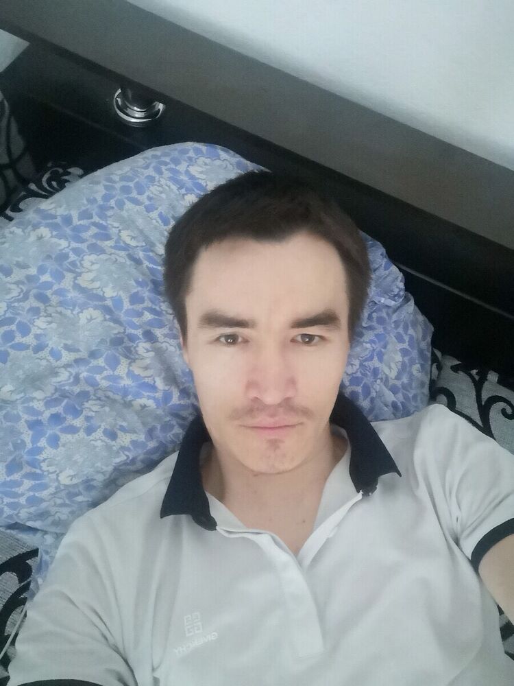  20309468  , 33 ,    