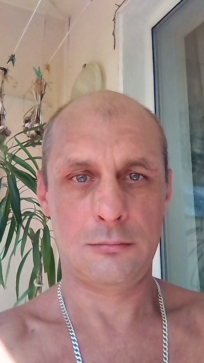  19040538  , 49 ,    