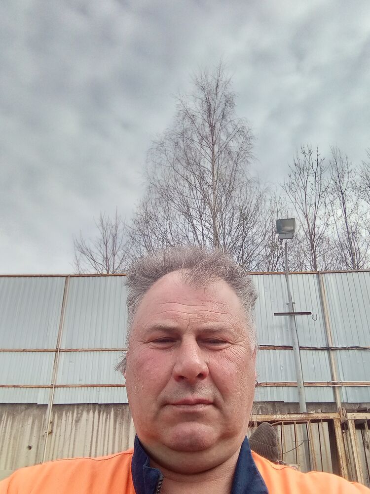  31343318  , 53 ,    