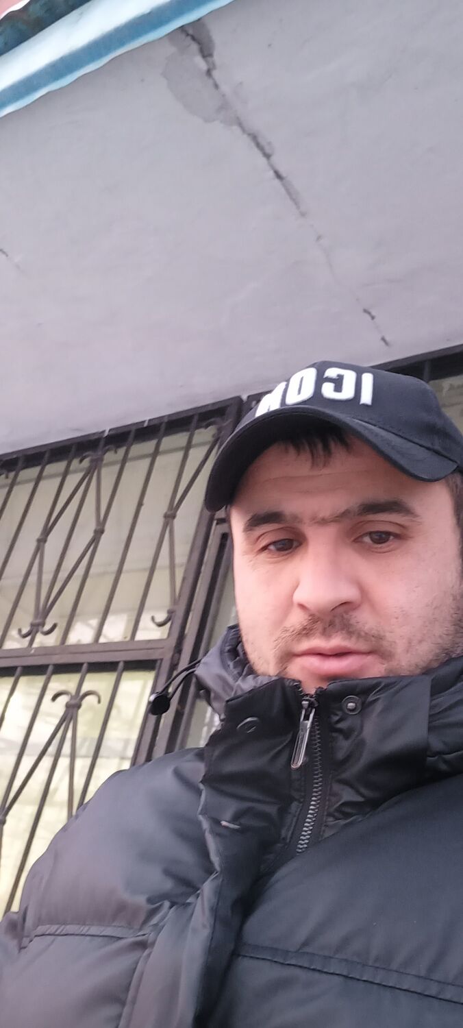 ���� 25985598 ������� �������, 33 ����, ���� ���������� � �����