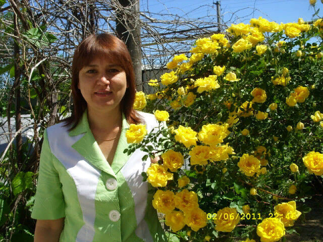  ,   , 54 ,     , c 