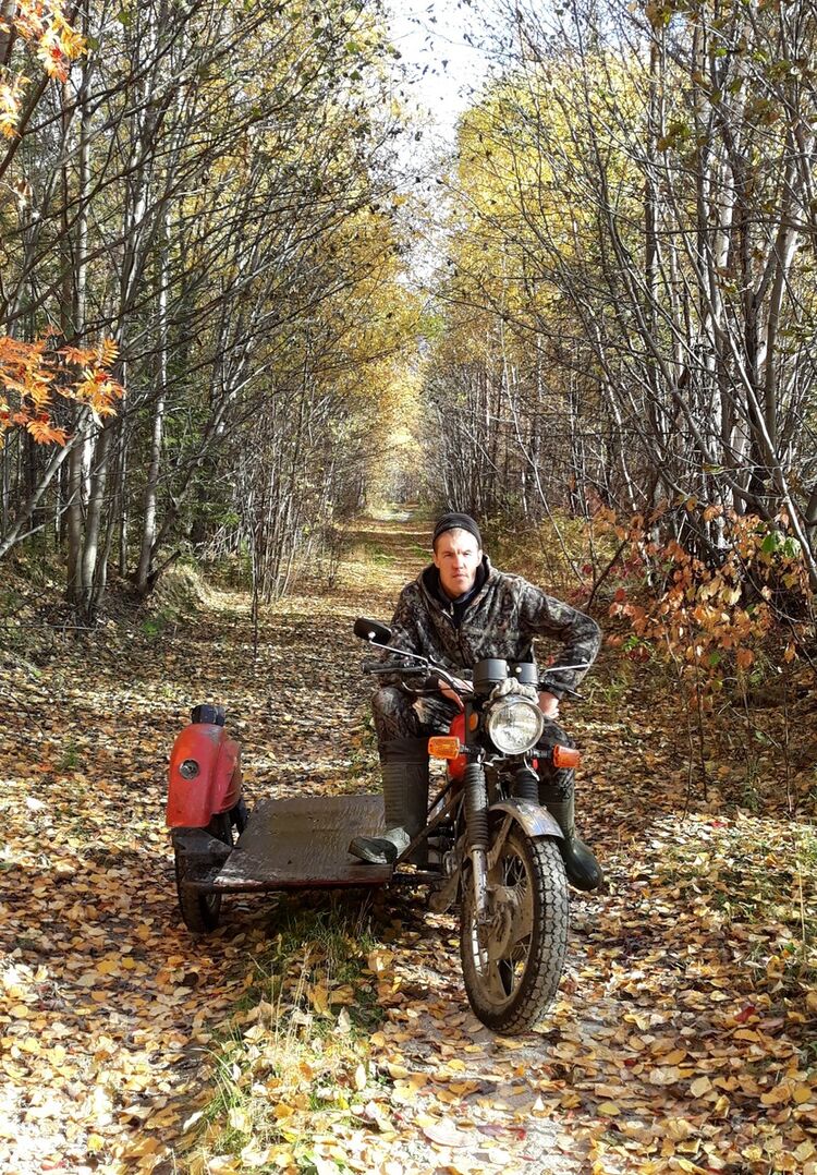 ���������� �������, ���� ������� �������, 38 ���, ������������ ��� ������, ����� � ���������, c�������� ���������