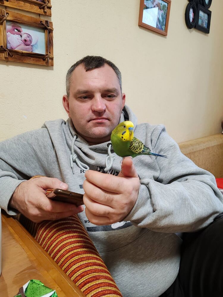 ���� 51861428 ������� �������, 38 ���, ���� ���������� � �������