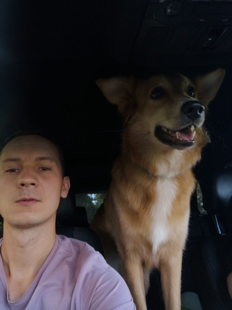 ���������� �����������, ���� ������� �������, 40 ���, ������������ ��� ������, ����� � ���������, c�������� ���������, ���������