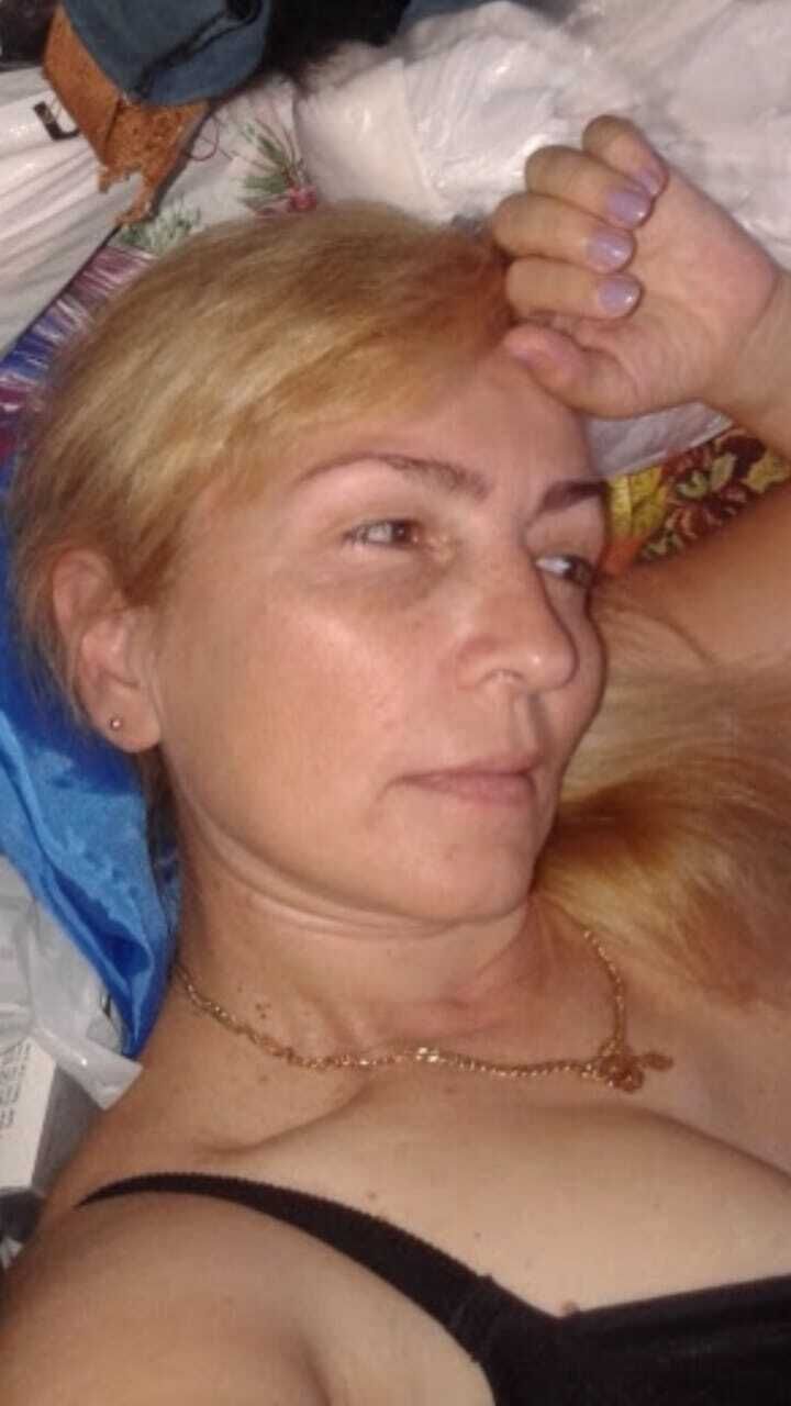  53907558  , 62 ,    