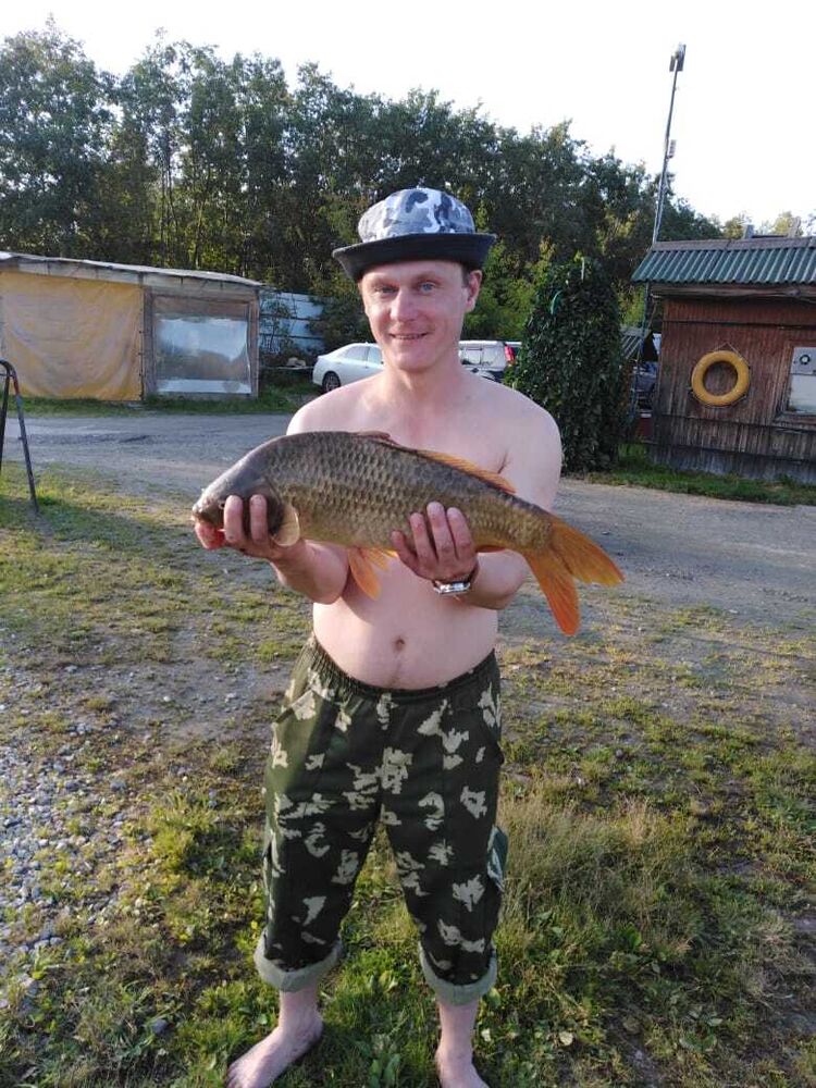 ���� 38727018 ������� ������, 40 ���, ���� ���������� � �������������