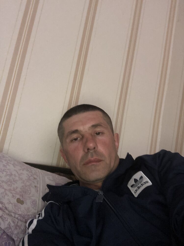  33706228  , 43 ,    