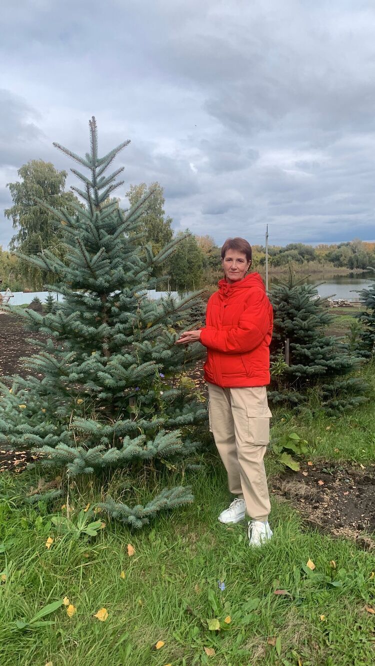 ���� 53585848 ������� ������, 51 ���, ���� ���������� � ��������