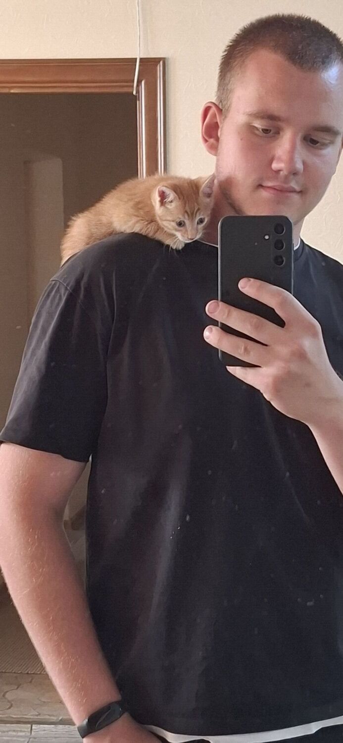 ���������� ���������, ���� ����� ��������, 20 ���, ������������ ��� ������, ����� � ���������, c�������� ���������