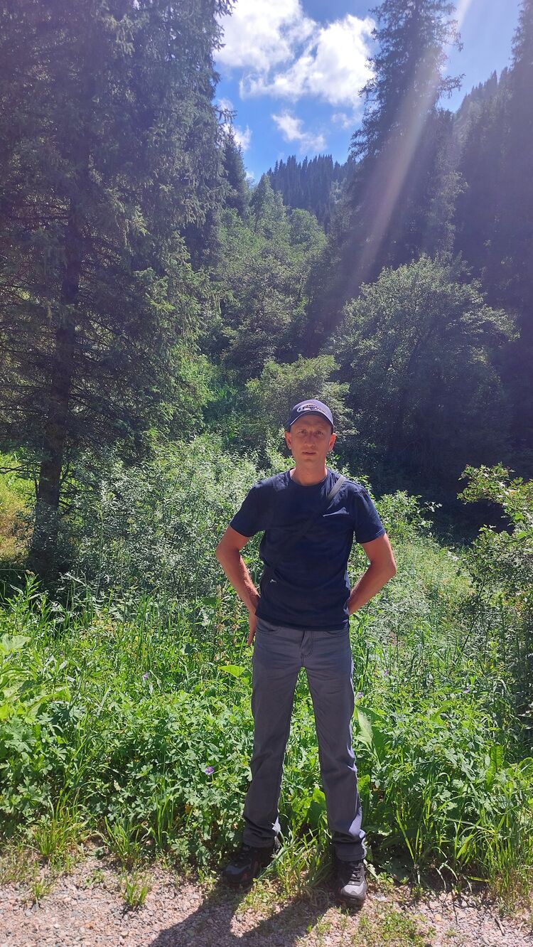 ���������� �������, ���� ������� ������, 38 ���, ������������ ��� ������, ����� � ���������